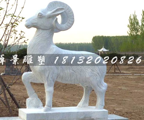 灞卞ご鐭抽洉锛屽箍鍦虹緤闆曞.jpg