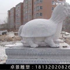 龙龟石雕，汉白玉龙龟雕塑