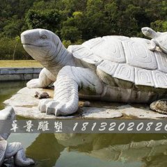 乌龟石雕，汉白玉乌龟雕塑