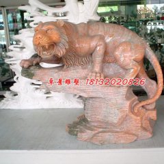 老虎石雕，晚霞红动物石雕