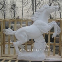汉白玉石雕马，广场石马雕塑