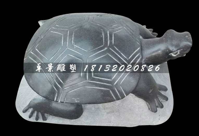 小乌龟石雕，黑石动物雕塑