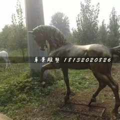 马铜雕，公园动物铜雕