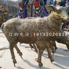玻璃钢绵羊雕塑，仿铜动物雕塑