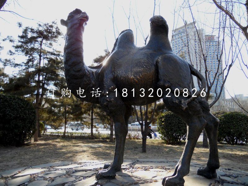 玻璃钢骆驼雕塑，仿铜动物雕塑