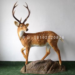 玻璃钢梅花鹿，公园仿真动物