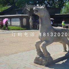 小马石雕，公园动物石雕