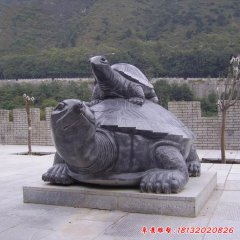 公园石雕乌龟