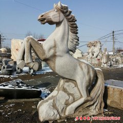 城市动物石雕马