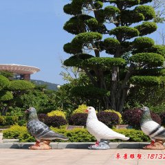 公园玻璃钢仿真鸽子雕塑